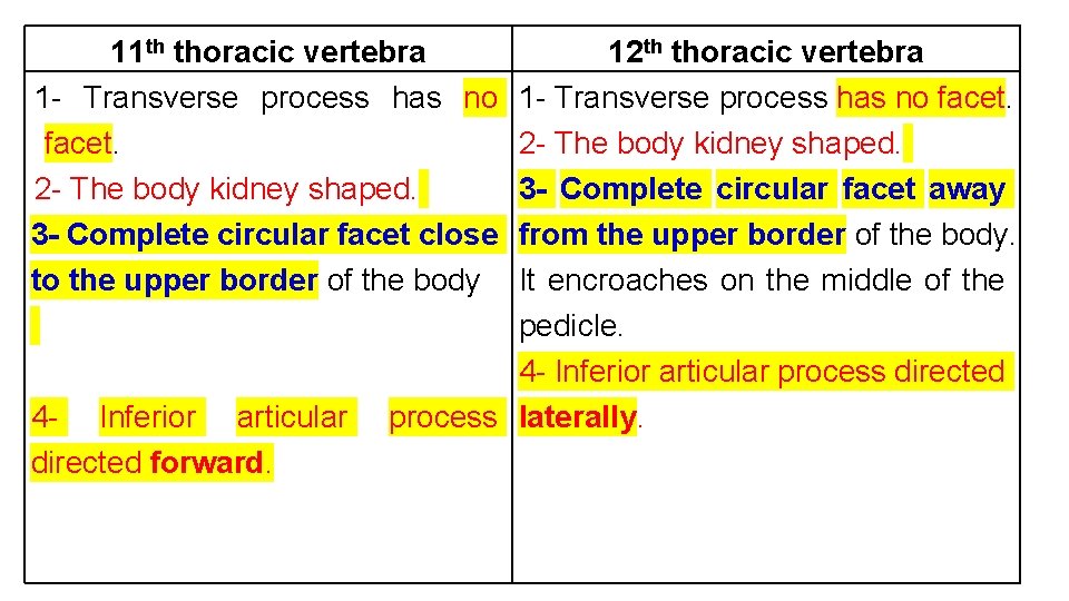 11 th thoracic vertebra 1 - Transverse process has no facet. 2 - The
