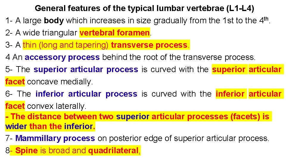 General features of the typical lumbar vertebrae (L 1 -L 4) 1 - A