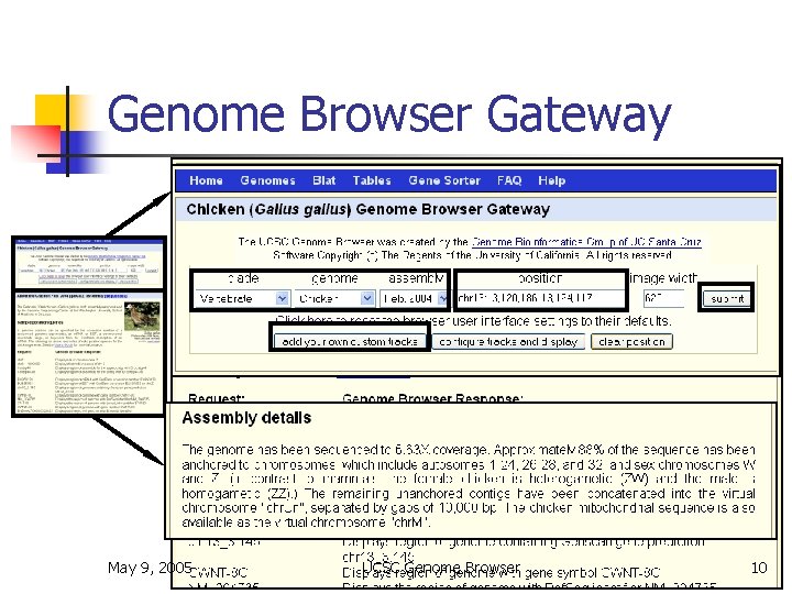 Genome Browser Gateway May 9, 2005 UCSC Genome Browser 10 