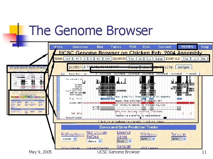 The Genome Browser May 9, 2005 UCSC Genome Browser 11 