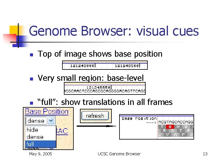 Genome Browser: visual cues n Top of image shows base position n Very small