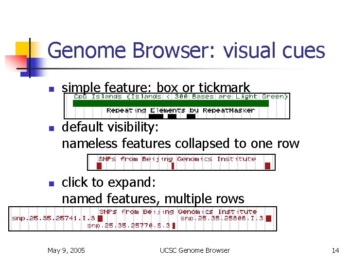 Genome Browser: visual cues n n n simple feature: box or tickmark default visibility: