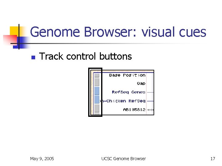 Genome Browser: visual cues n Track control buttons May 9, 2005 UCSC Genome Browser