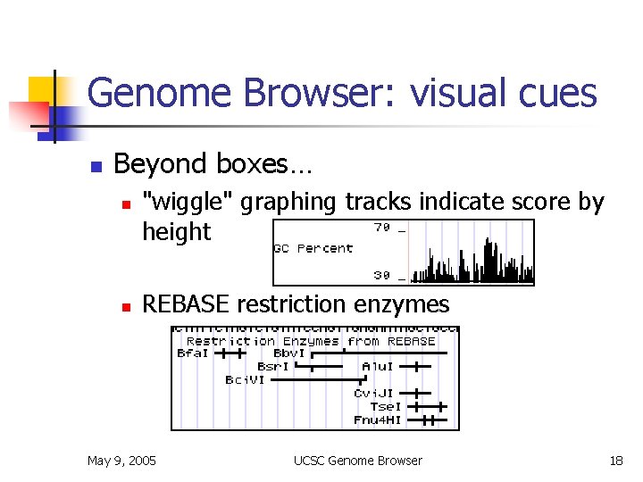 Genome Browser: visual cues n Beyond boxes… n n "wiggle" graphing tracks indicate score