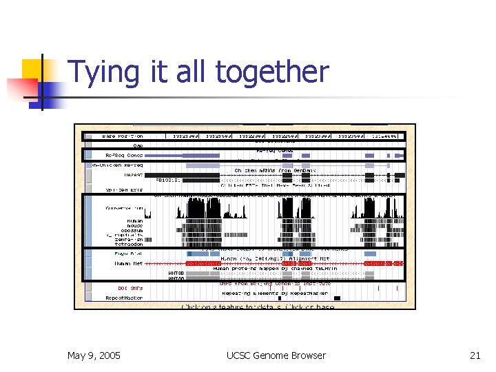 Tying it all together May 9, 2005 UCSC Genome Browser 21 