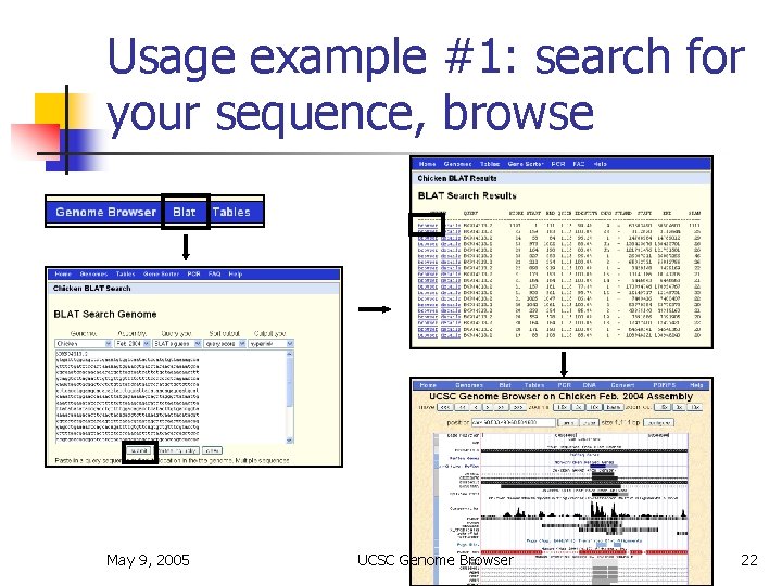 Usage example #1: search for your sequence, browse May 9, 2005 UCSC Genome Browser