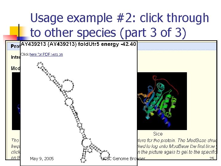 Usage example #2: click through to other species (part 3 of 3) May 9,