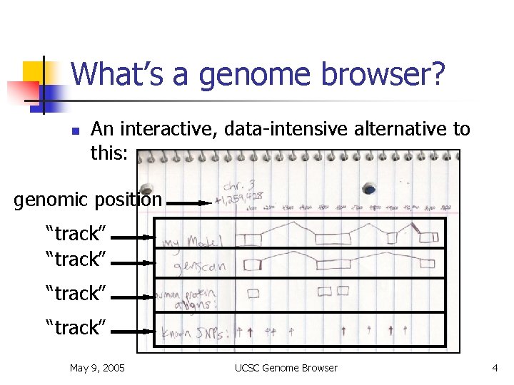 What’s a genome browser? n An interactive, data-intensive alternative to this: genomic position “track”