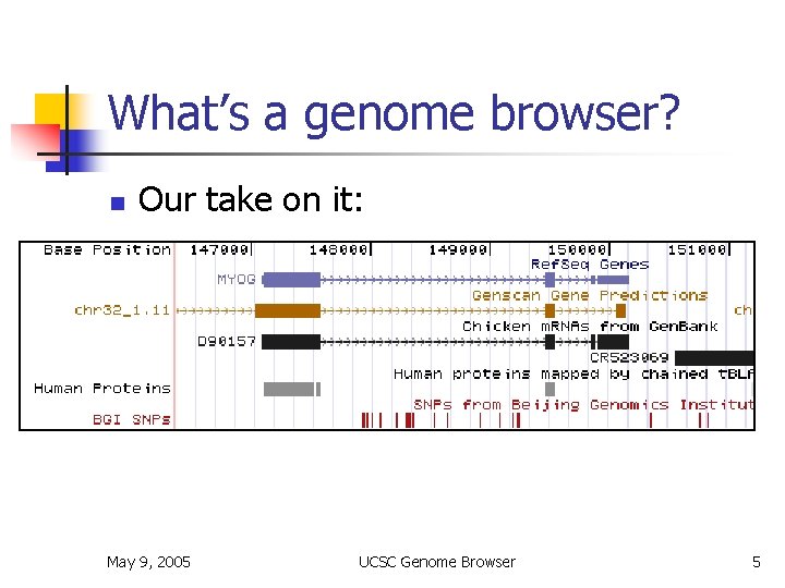 What’s a genome browser? n Our take on it: May 9, 2005 UCSC Genome