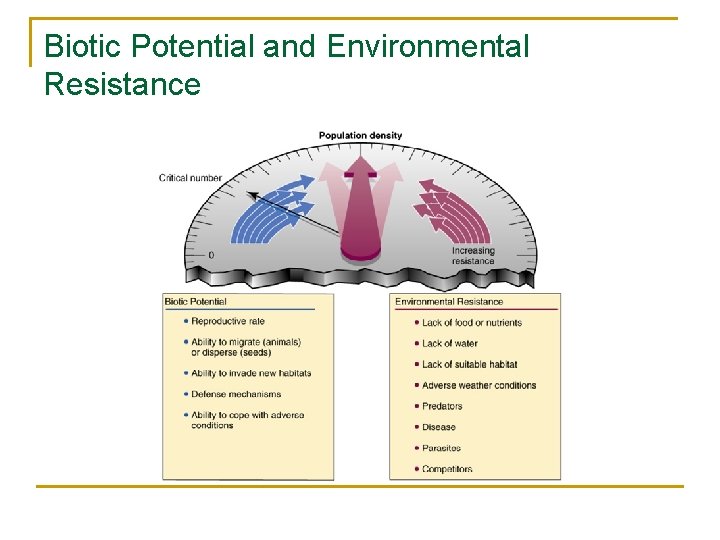 Biotic Potential and Environmental Resistance 