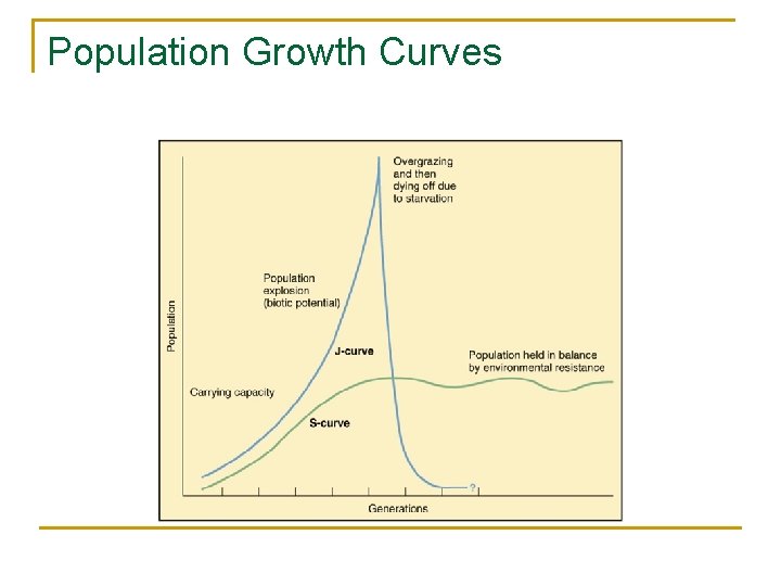 Population Growth Curves 