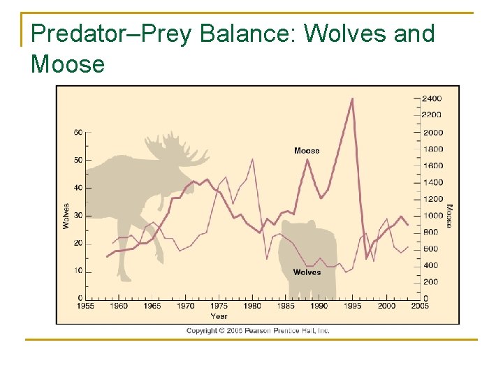 Predator–Prey Balance: Wolves and Moose 