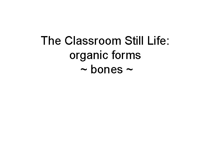 The Classroom Still Life: organic forms ~ bones ~ 