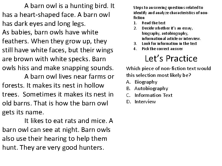 A barn owl is a hunting bird. It has a heart-shaped face. A barn