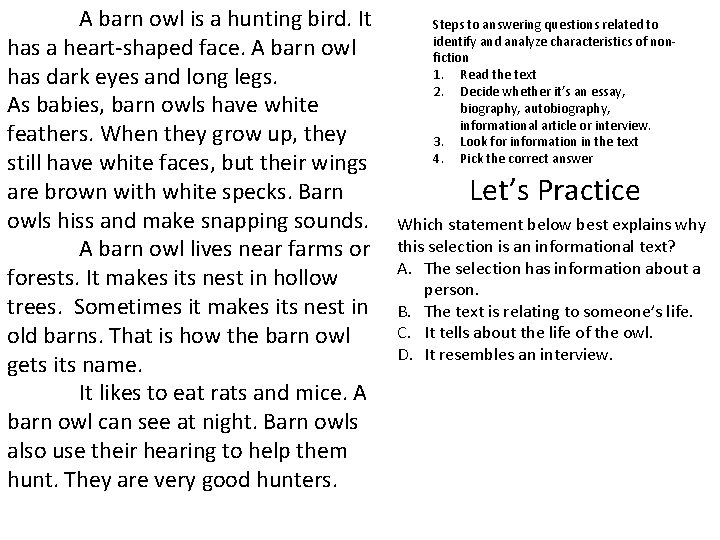 A barn owl is a hunting bird. It has a heart-shaped face. A barn