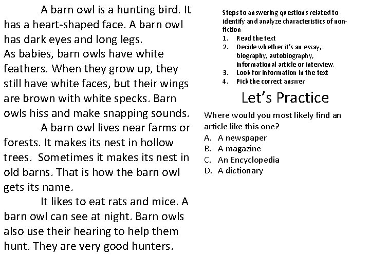 A barn owl is a hunting bird. It has a heart-shaped face. A barn