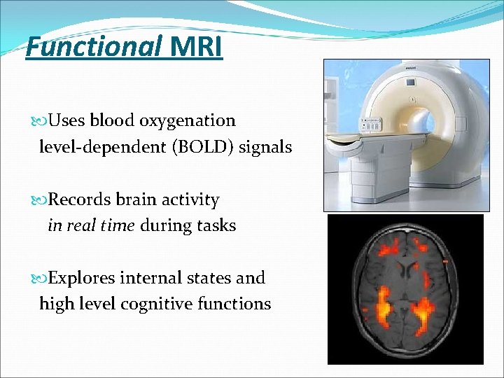 Exploring the neural basis of cognition multimodal links