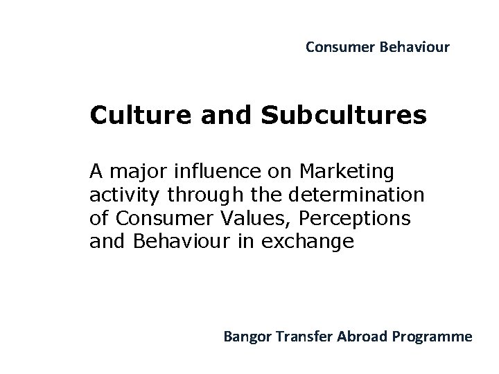 Consumer Behaviour Culture and Subcultures A major influence on Marketing activity through the determination