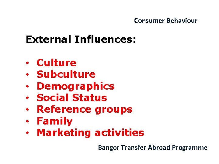 Consumer Behaviour External Influences: • • Culture Subculture Demographics Social Status Reference groups Family