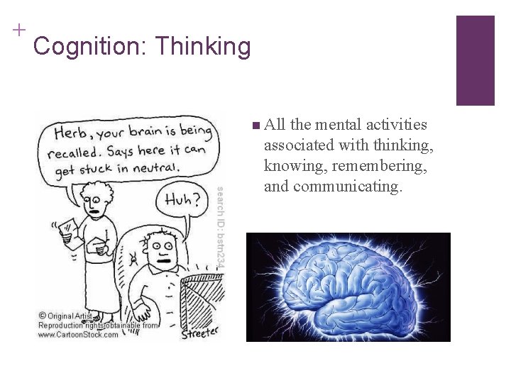 + Cognition: Thinking n All the mental activities associated with thinking, knowing, remembering, and