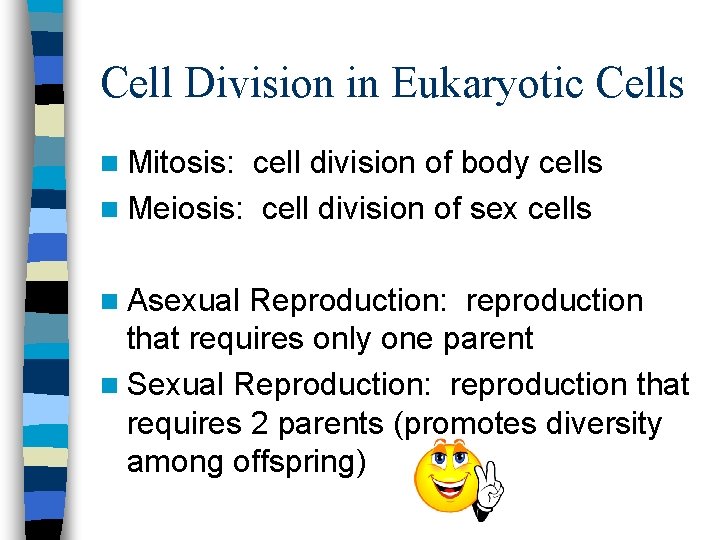 Cell Division in Eukaryotic Cells n Mitosis: cell division of body cells n Meiosis: