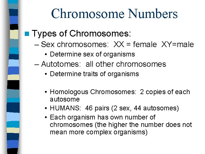 Chromosome Numbers n Types of Chromosomes: – Sex chromosomes: XX = female XY=male •