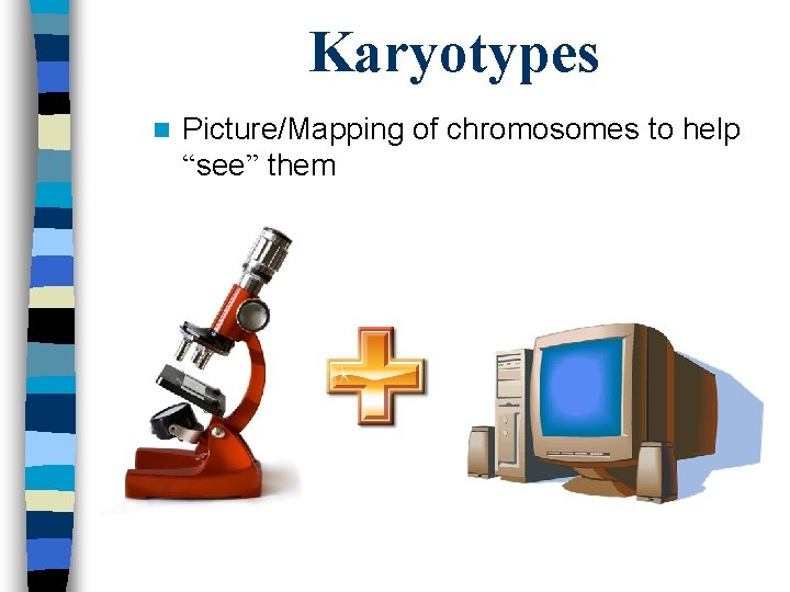 Karyotypes n Picture/Mapping of chromosomes to help “see” them 