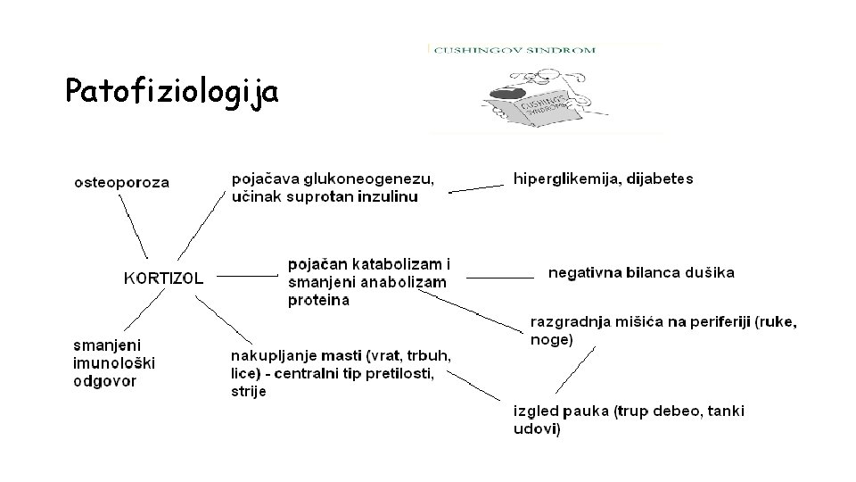 Patofiziologija 