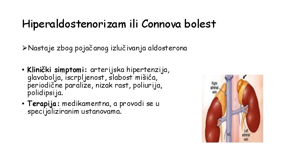 Hiperaldostenorizam ili Connova bolest ØNastaje zbog pojačanog izlučivanja aldosterona • Klinički simptomi: arterijska hipertenzija,