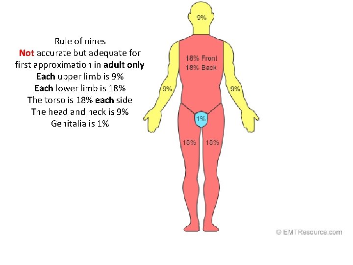 Rule of nines Not accurate but adequate for first approximation in adult only Each