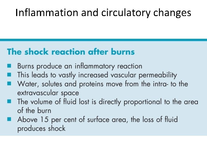 Inflammation and circulatory changes 