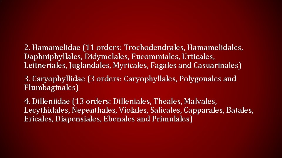 2. Hamamelidae (11 orders: Trochodendrales, Hamamelidales, Daphniphyllales, Didymelales, Eucommiales, Urticales, Leitneriales, Juglandales, Myricales, Fagales