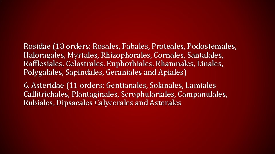 Rosidae (18 orders: Rosales, Fabales, Proteales, Podostemales, Haloragales, Myrtales, Rhizophorales, Cornales, Santalales, Rafflesiales, Celastrales,