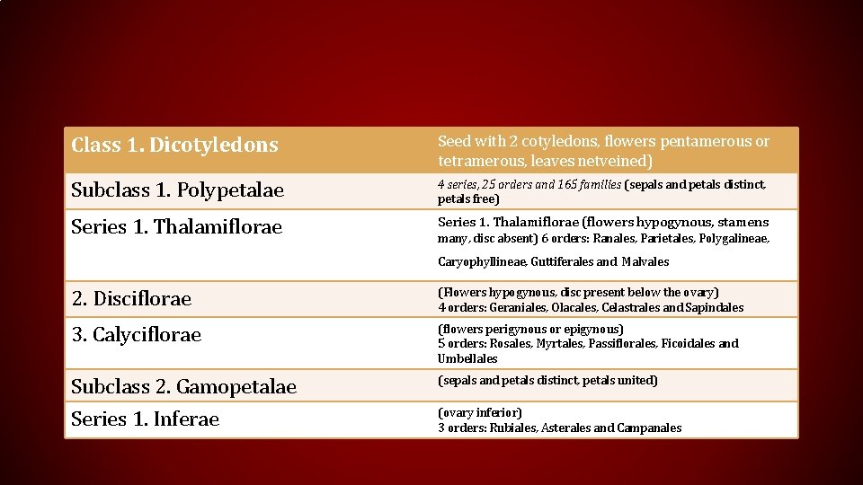 Class 1. Dicotyledons Seed with 2 cotyledons, flowers pentamerous or tetramerous, leaves netveined) Subclass
