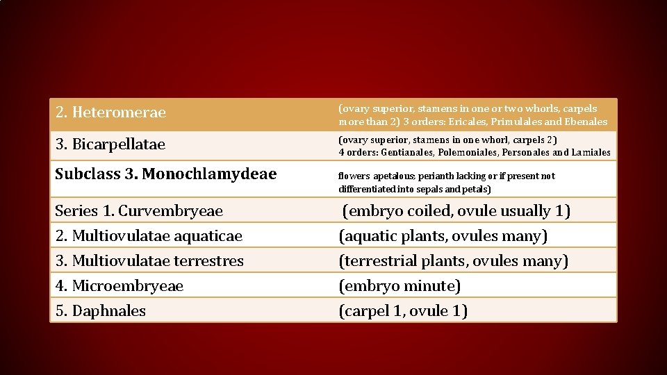 2. Heteromerae (ovary superior, stamens in one or two whorls, carpels more than 2)