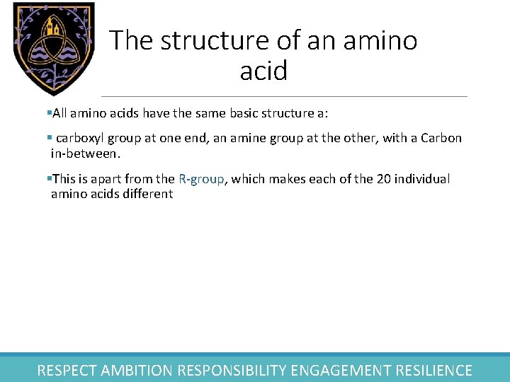 The structure of an amino acid §All amino acids have the same basic structure