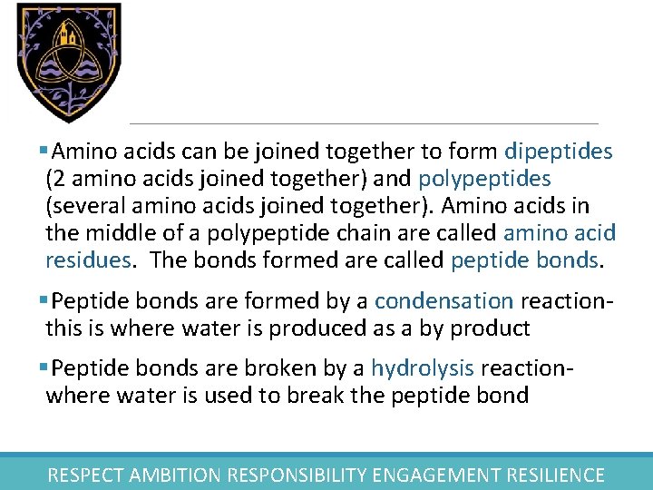 §Amino acids can be joined together to form dipeptides (2 amino acids joined together)