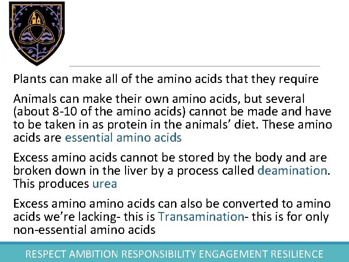 Plants can make all of the amino acids that they require Animals can make