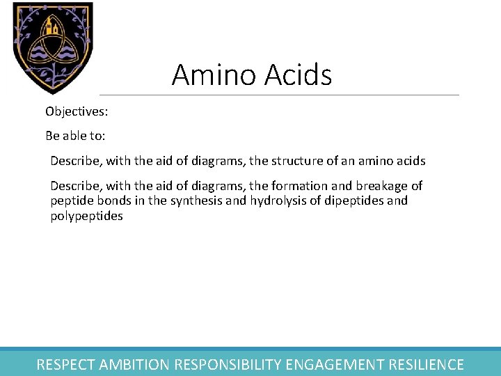 Amino Acids Objectives: Be able to: Describe, with the aid of diagrams, the structure