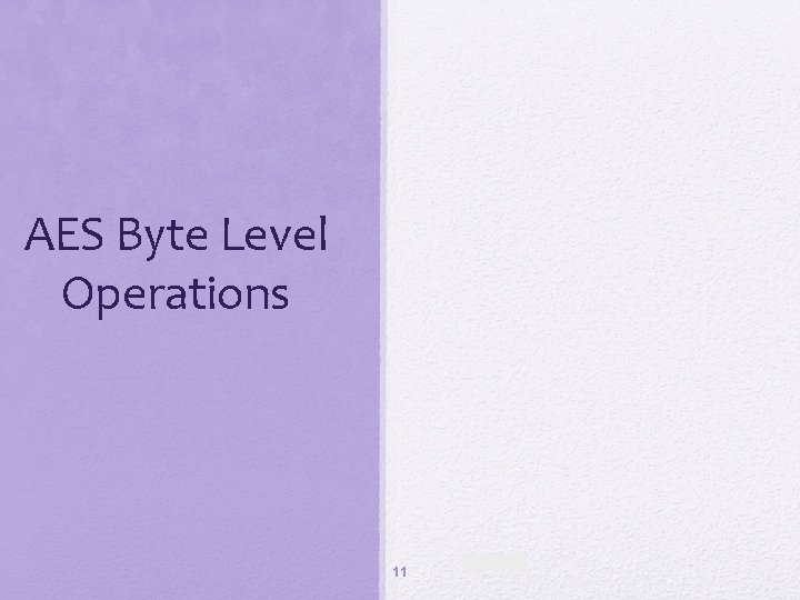 AES Byte Level Operations 11 