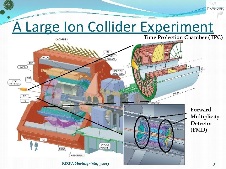 A Large Ion Collider Experiment Time Projection Chamber (TPC) Forward Multiplicity Detector (FMD) RECFA