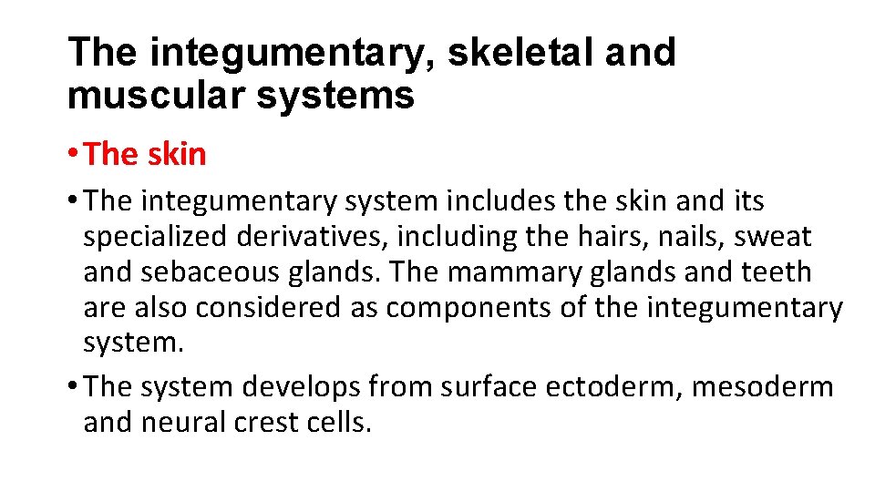 The integumentary, skeletal and muscular systems • The skin • The integumentary system includes