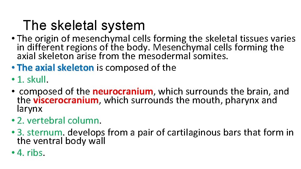 The skeletal system • The origin of mesenchymal cells forming the skeletal tissues varies