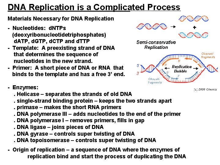 DNA Replication is a Complicated Process Materials Necessary for DNA Replication - Nucleotides: d.