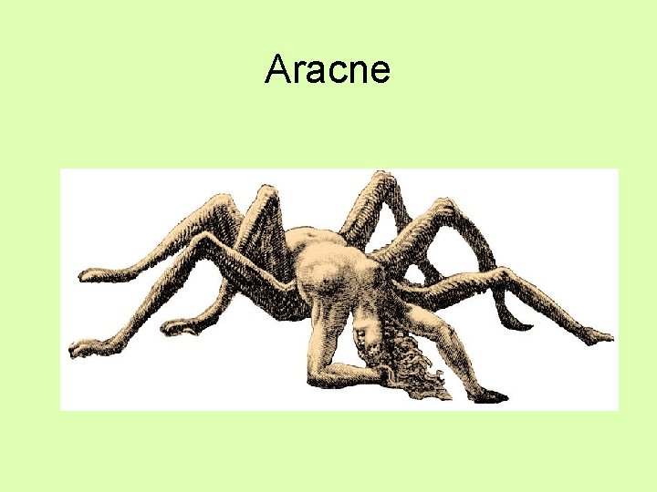 Aracne 