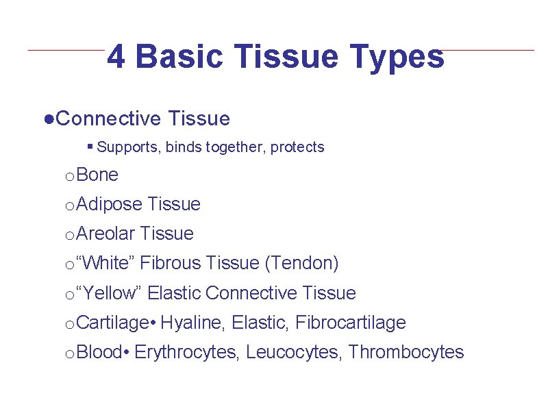4 Basic Tissue Types ●Connective Tissue § Supports, binds together, protects o Bone o