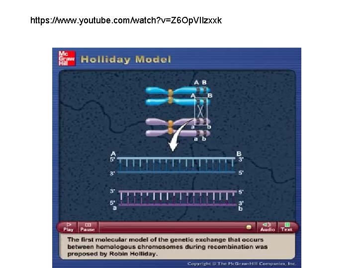 https: //www. youtube. com/watch? v=Z 6 Op. VIlzxxk 