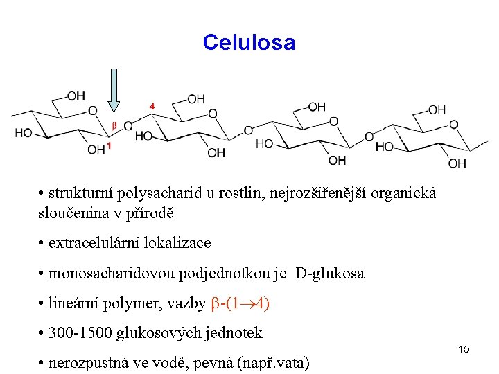 Celulosa • strukturní polysacharid u rostlin, nejrozšířenější organická sloučenina v přírodě • extracelulární lokalizace