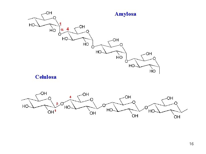 Amylosa Celulosa 16 
