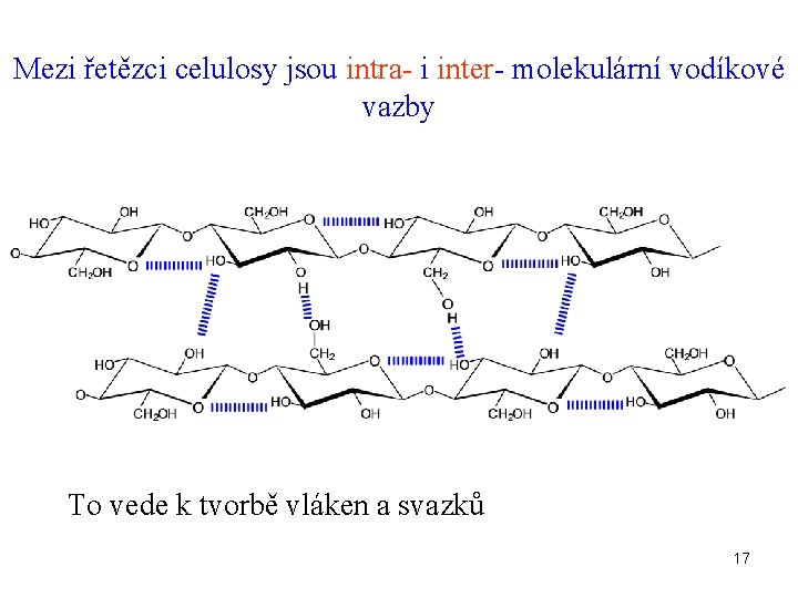 Mezi řetězci celulosy jsou intra- i inter- molekulární vodíkové vazby To vede k tvorbě